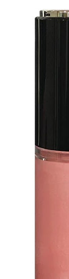 LIPGLOSS *New