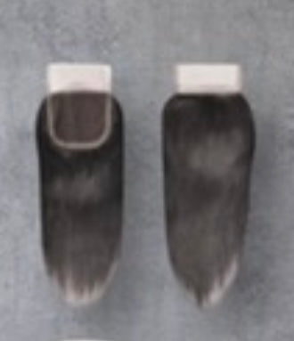 Frontals
